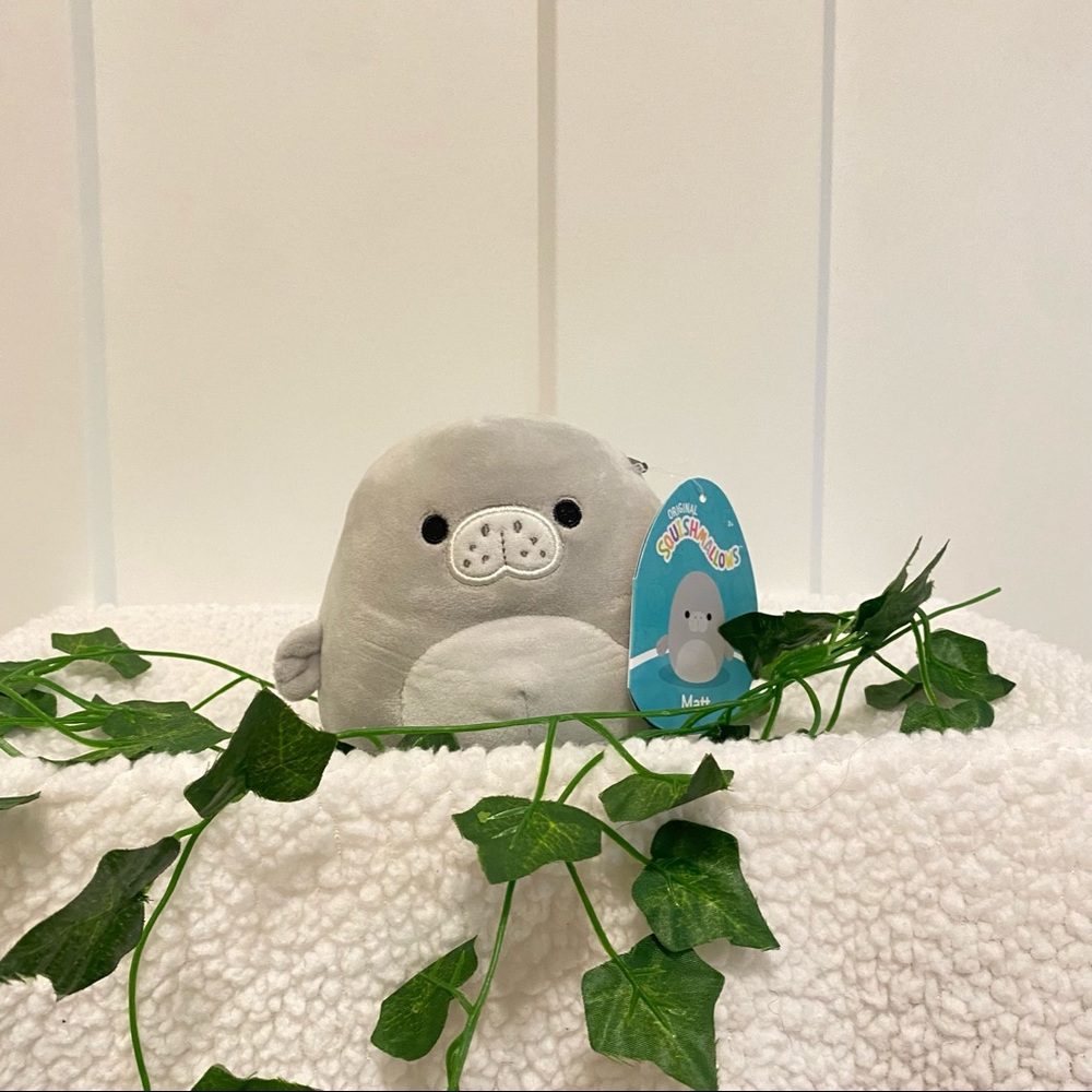 squishmallow 5” matt the manatee